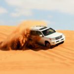 Early morning desert safari with a majestic camel in the desert dunes surrounded by picturesque mountains, perfect for a unique and thrilling adventure.