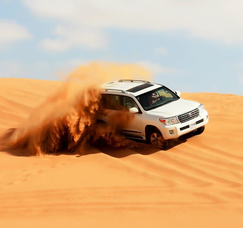 Early morning desert safari with a majestic camel in the desert dunes surrounded by picturesque mountains, perfect for a unique and thrilling adventure.